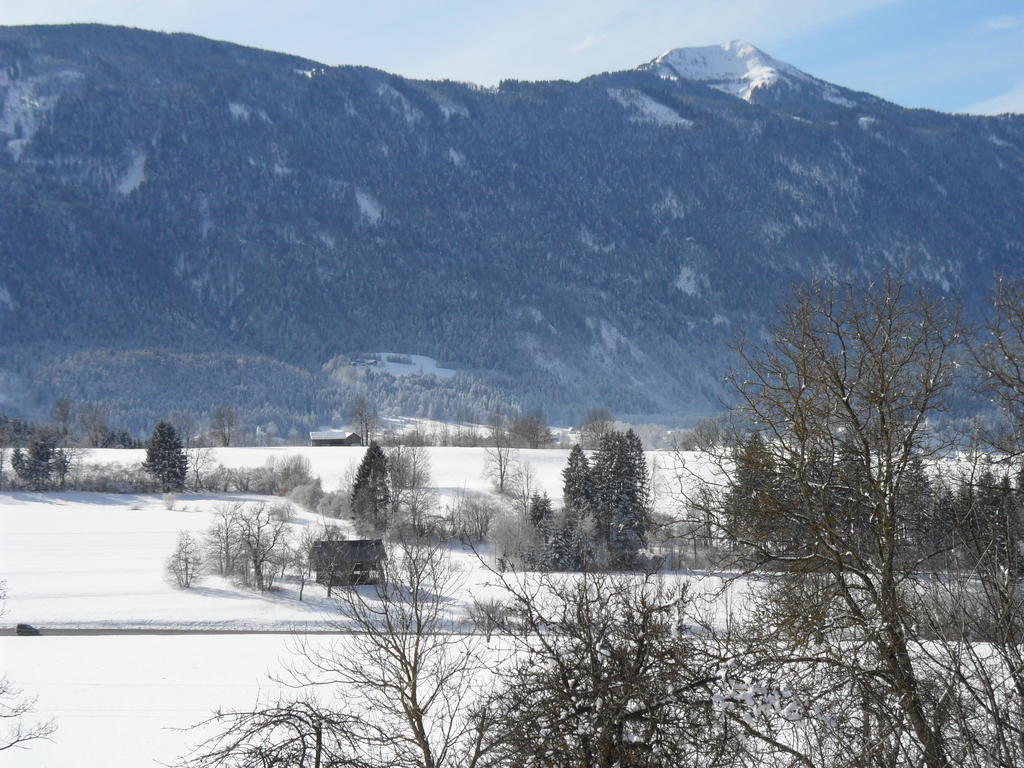 Ferienhaus Warmuth Apartamento Sankt Stefan an der Gail Exterior foto